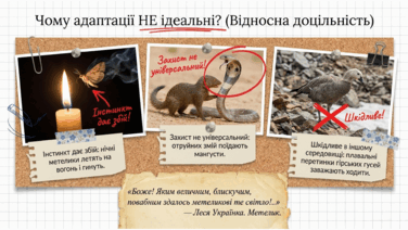 09024b9q-8c42-376x212.png