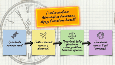 09024bde-afdf-392x221.png