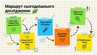 09024bew-849b-391x220.png