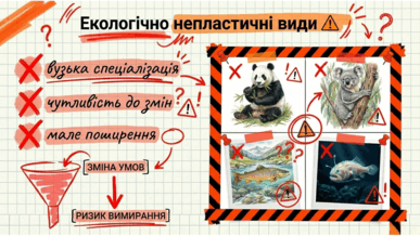 09024bf6-0f59-387x218.png