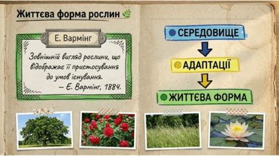 09024btw-a80c-404x227.png