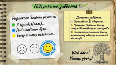 09024buf-0f17-390x220.png
