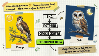 09024bvf-4481-394x222.png