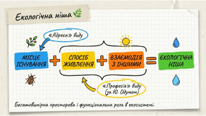 09024bvg-ba1b-415x234.png