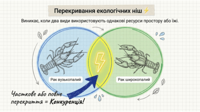 09024bvi-3a98-391x220.png