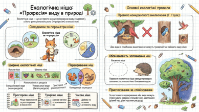 09024bvp-044a-422x238.png