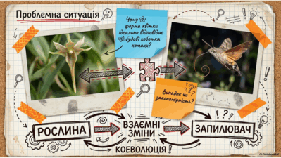 09024bxu-1c0c-399x225.png