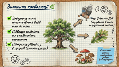 09024by6-7e05-395x222.png