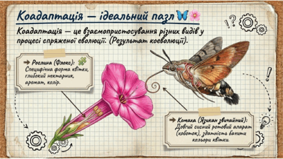 09024byc-696e-409x230.png