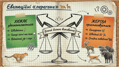 09024bzu-23b0-395x223.png