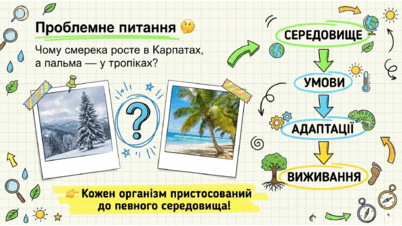 09024c3h-cd8b-402x226.png