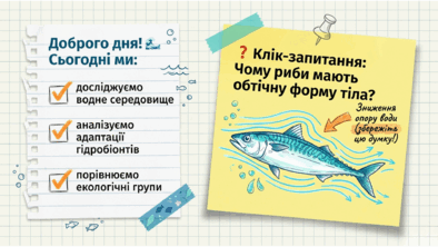09024c5r-e040-394x222.png