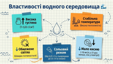09024c67-5a54-390x220.png