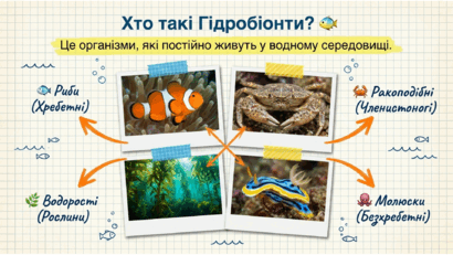 09024c69-67ff-410x231.png