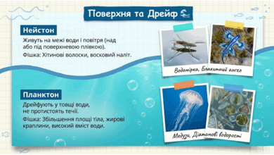 09024c6c-fdfd-390x220.png