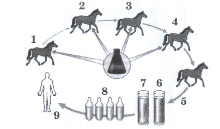 09024c87-40f0-438x256.png