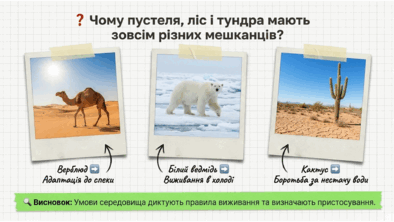 09024c8o-fa19-394x222.png
