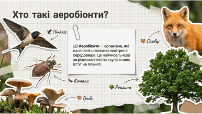 09024c9c-565a-408x230.png