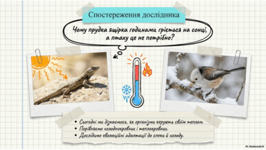 09024cfx-2a11-384x216.png