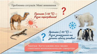 09024cfy-910e-399x225.png