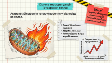 09024cg8-e53c-392x220.png
