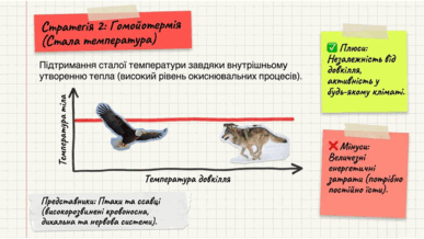 09024cgd-a731-387x218.png