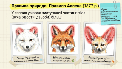 09024cgg-3a8b-409x230.png
