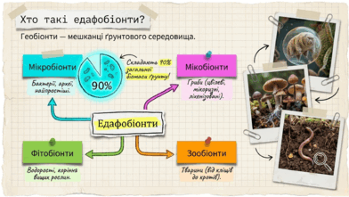 09024ci2-fe78-392x221.png
