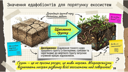 09024ci8-b4be-413x232.png