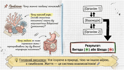 09024cj8-9822-403x227.png