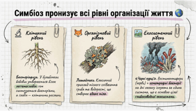 09024cjd-89d4-401x226.png