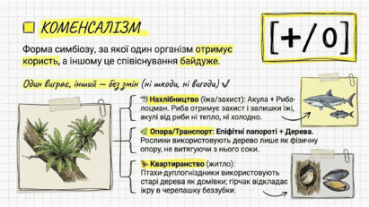 09024cjm-c6ea-411x231.png