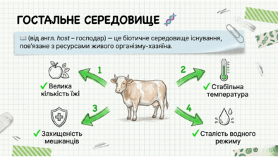 09024ckf-d1a0-394x222.png