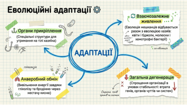 09024ckx-04c2-386x217.png