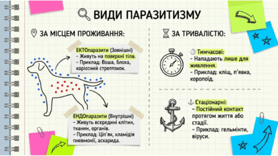 09024col-f258-400x225.png