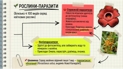 09024cop-9834-412x232.png
