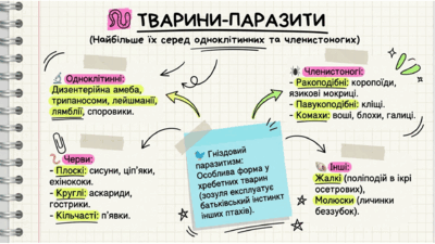 09024cor-f833-400x225.png