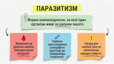 09024cqx-e297-382x215.png