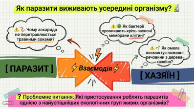 09024d2z-4ff9-397x223.png