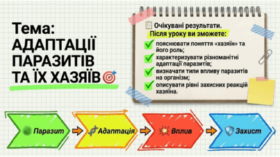 09024d36-a92d-403x227.png