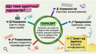 09024d38-f530-393x221.png