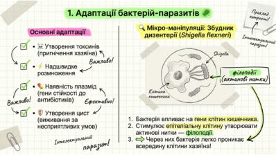 09024d3a-0449-398x224.png