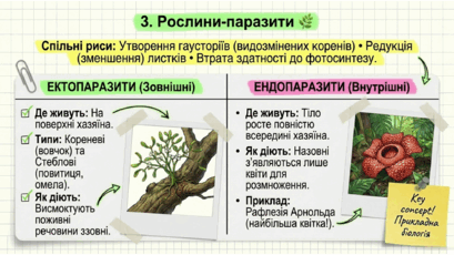09024d3d-331f-409x230.png