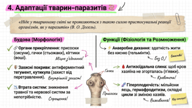 09024d3g-336c-391x220.png