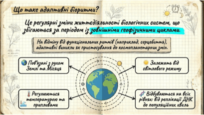 09024d5w-866a-409x230.png