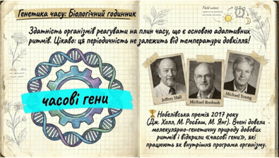 09024d61-8a9b-395x223.png