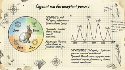 09024d6i-a93c-405x228.png