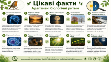 09024d72-79c1-427x240.png