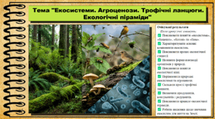 Екосистеми. Агроценози. Трофічні ланцюги. Екологічні піраміди. Біологія. 9 клас. НУШ (2026). До підручника Тагліна О., Самойлов А. та ін.