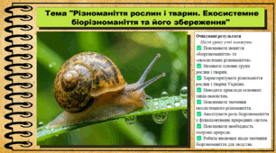Різноманіття рослин і тварин. Екосистемне біорізноманіття та його збереження. Біологія. 9 клас. НУШ (2026). До підручника Тагліна О., Самойлов А. та ін.